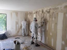 Best Asbestos and Lead Testing During Mold Inspection  in Iota, LA